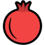 Pomegranate icon